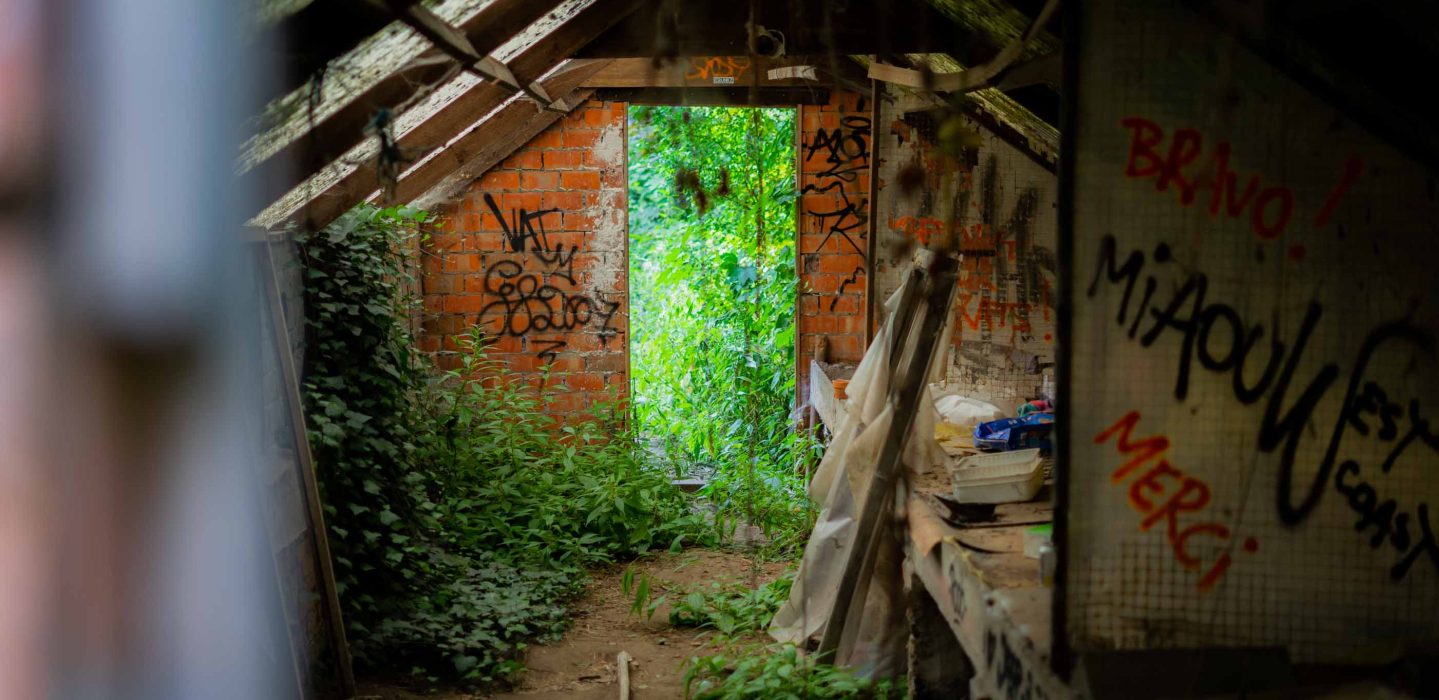 Shack covered by plants